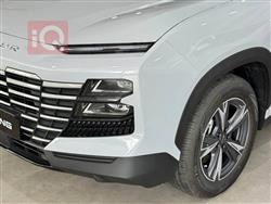 جیتۆر داشينگ